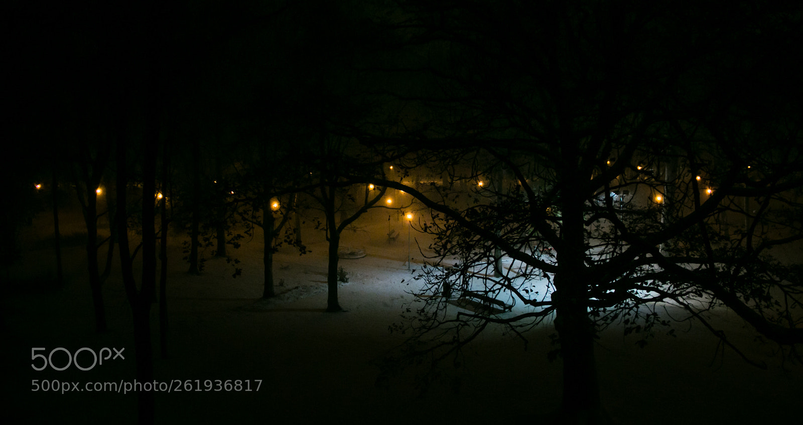 Canon EOS 70D sample photo. Winter park photography