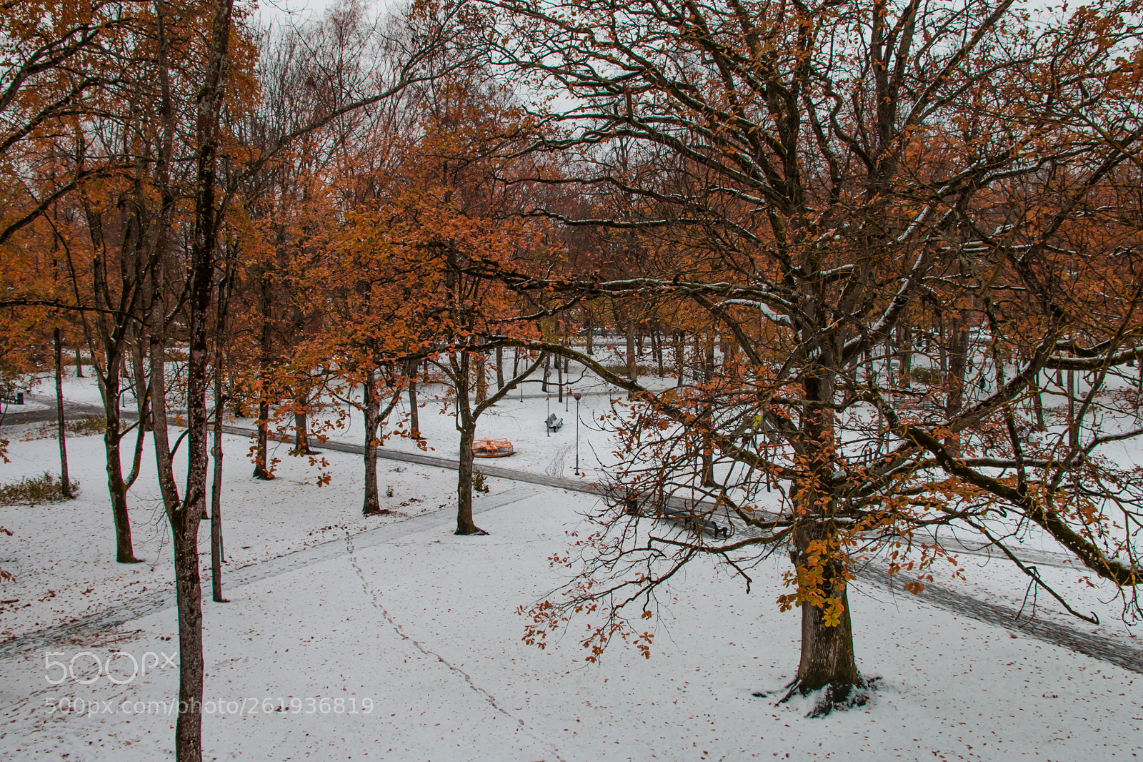 Canon EOS 70D sample photo. Autumn/winter park photography