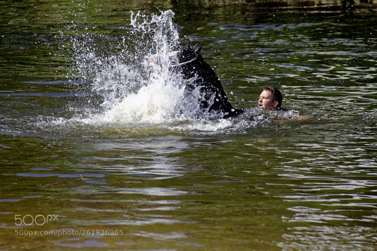 Canon EOS 7D sample photo. Appleby photography