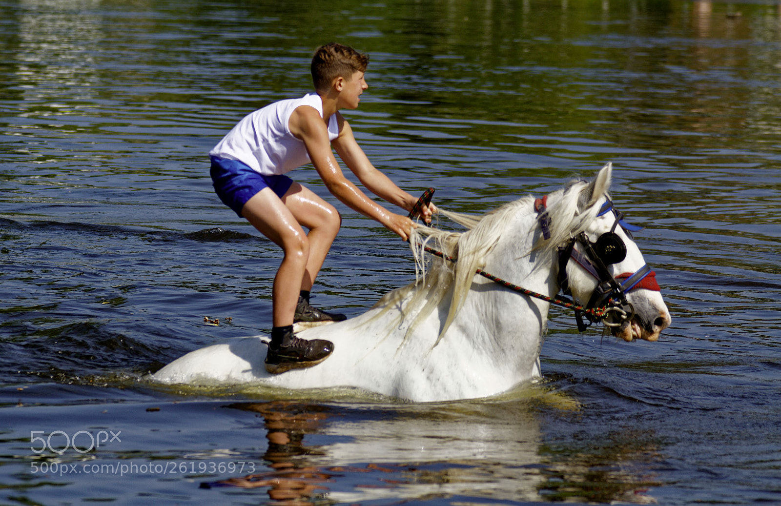Canon EOS 7D sample photo. Appleby photography