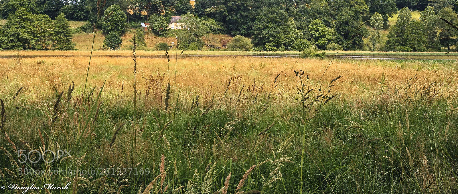 Canon EOS 5D sample photo. Untitled photography