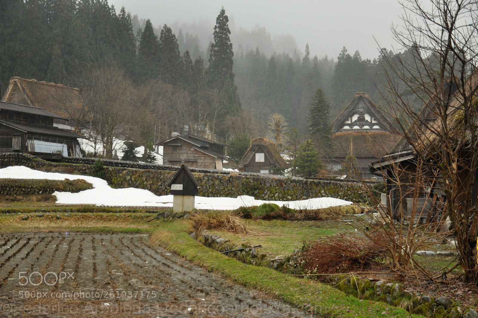 Nikon D90 sample photo. Frozen village photography