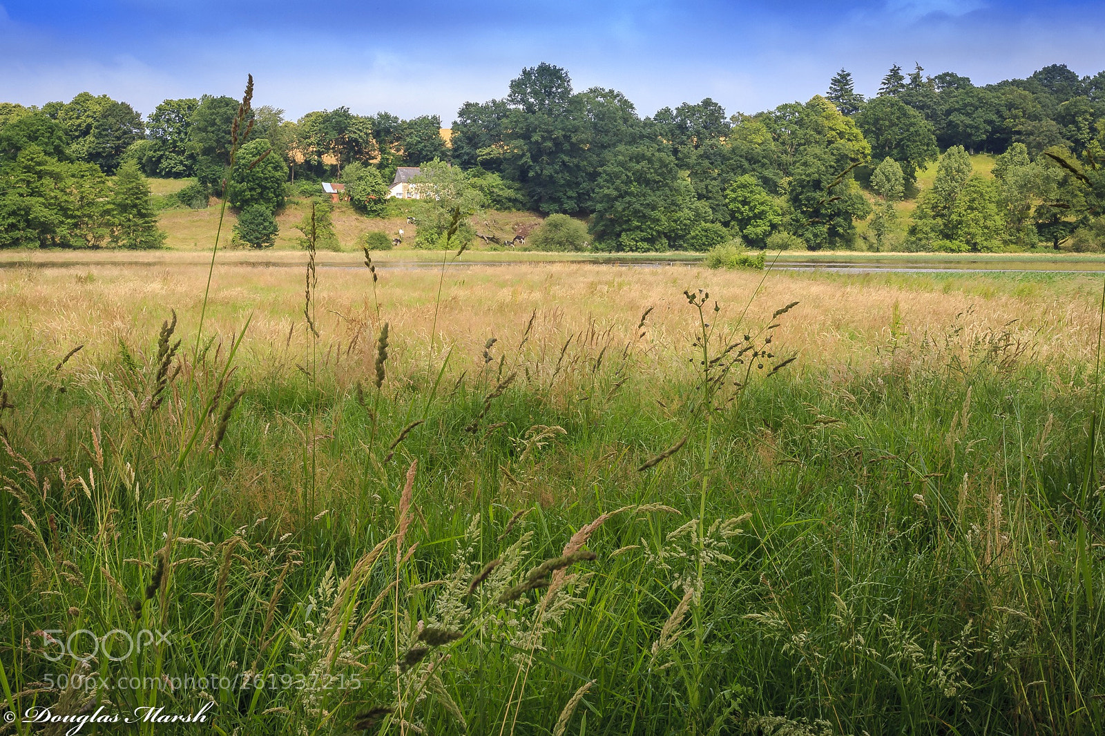 Canon EOS 5D sample photo. Untitled photography
