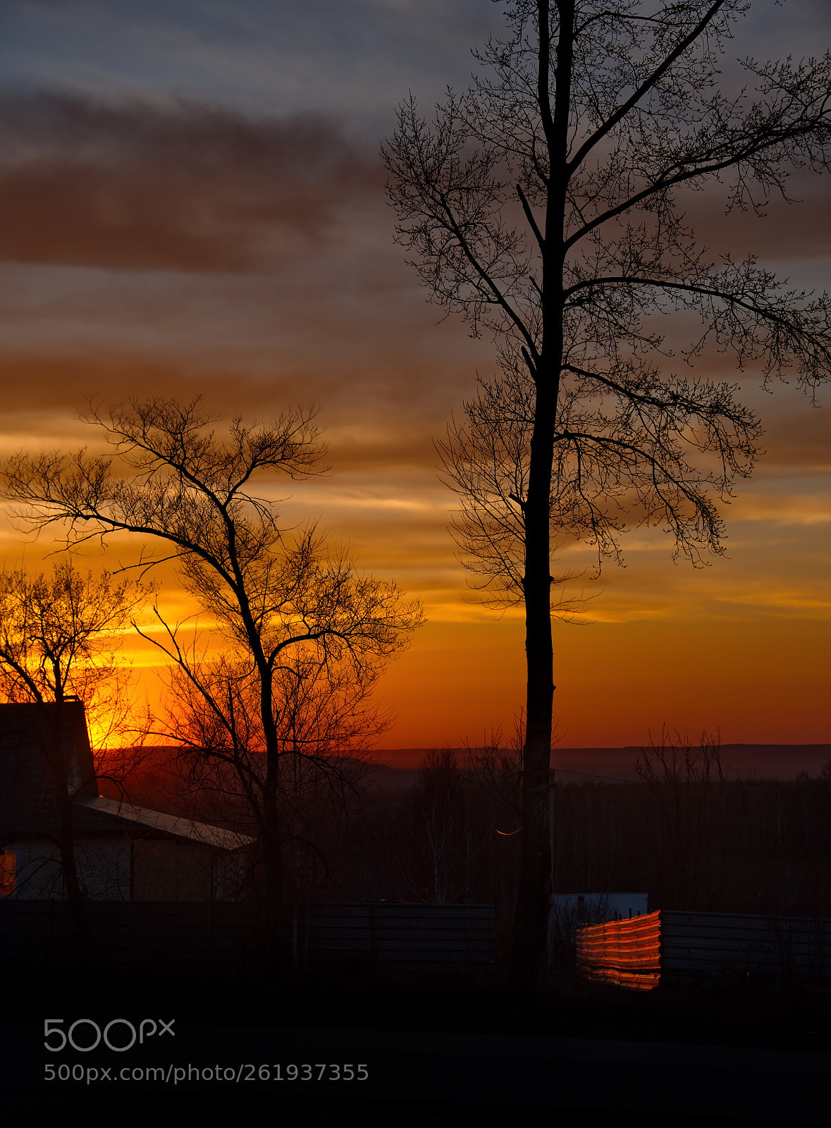 Nikon D750 sample photo. Russia. the south of photography