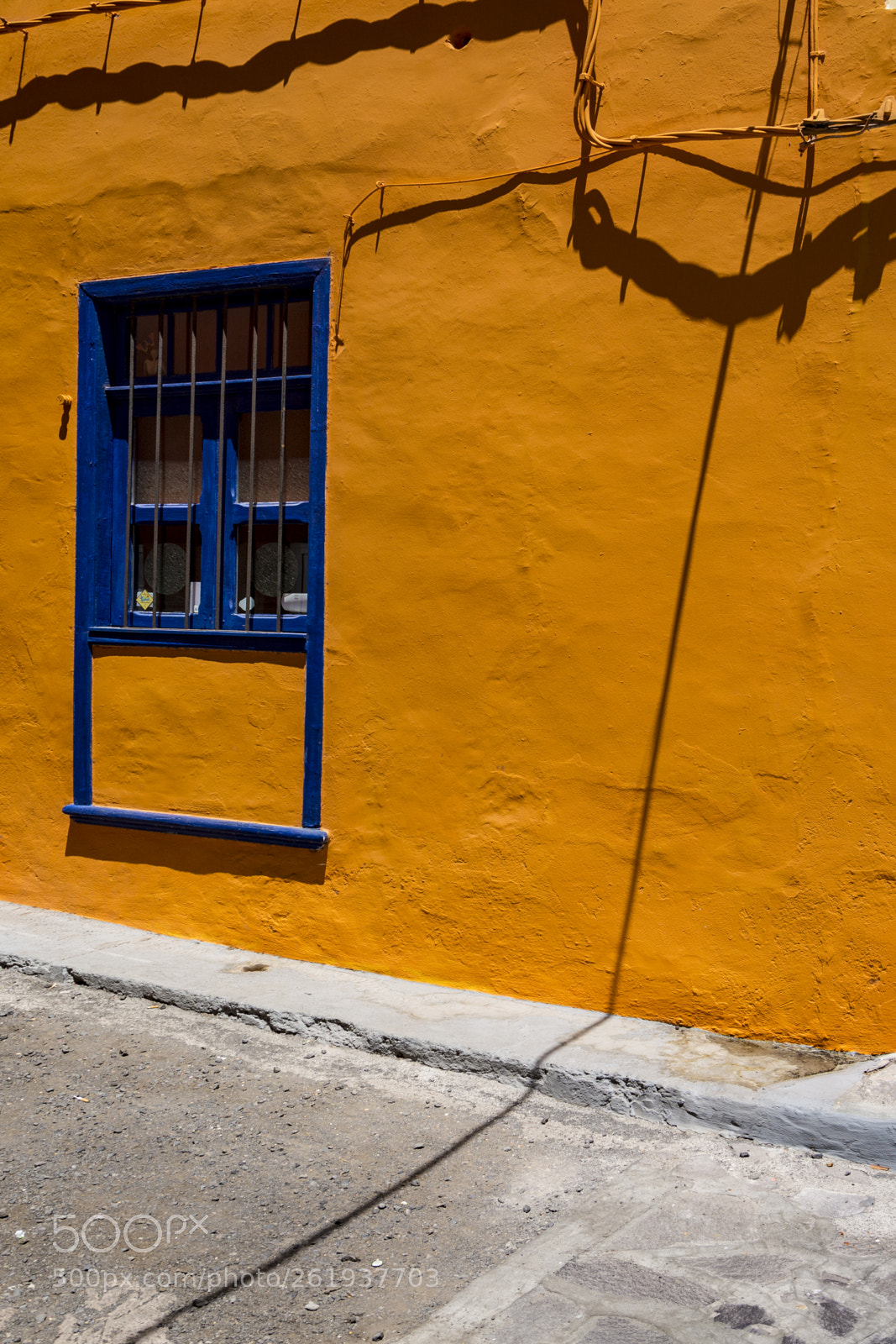 Nikon D7100 sample photo. Primary window photography