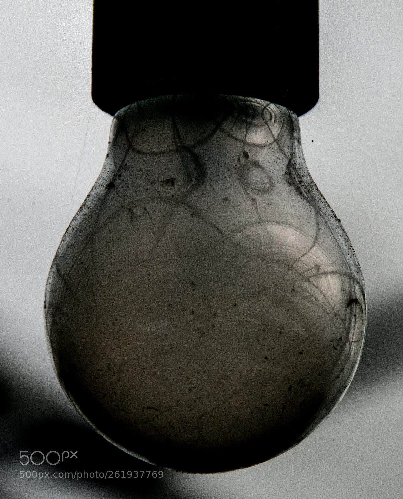 Canon EOS 70D sample photo. Greenhouse bulb photography