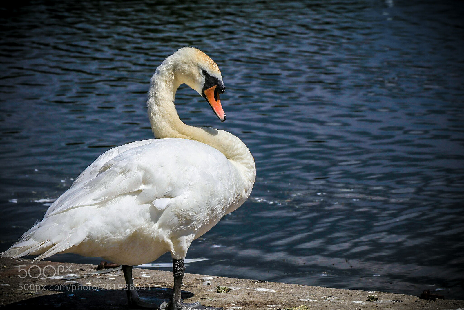 Canon EOS 80D sample photo. Untitled photography
