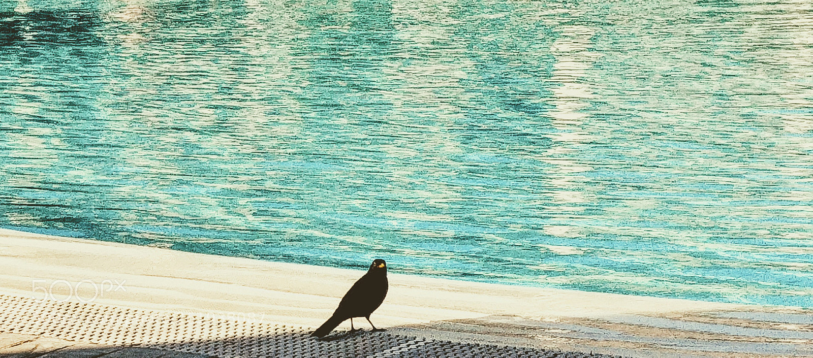 LG G6 sample photo. Mi butto o non photography