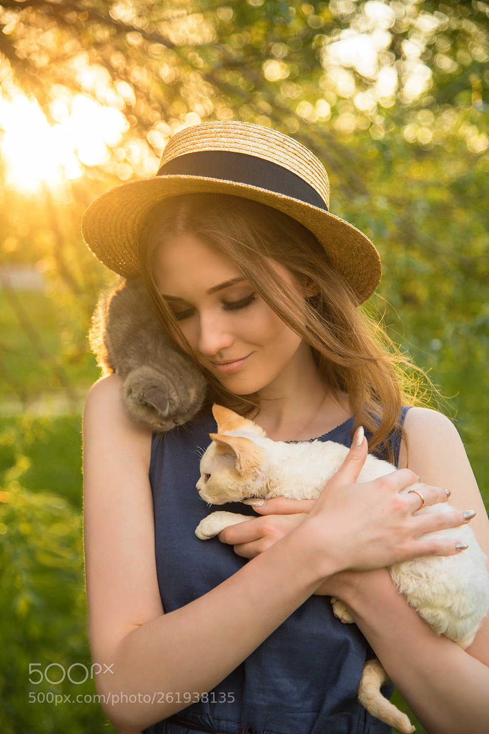 Nikon D750 sample photo. Kitty photography