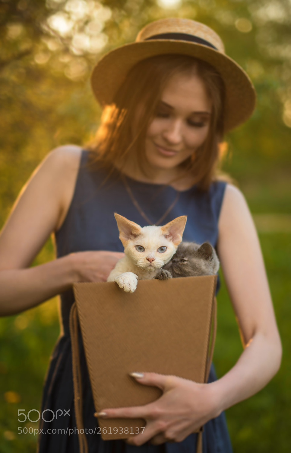 Nikon D750 sample photo. Kitten photography