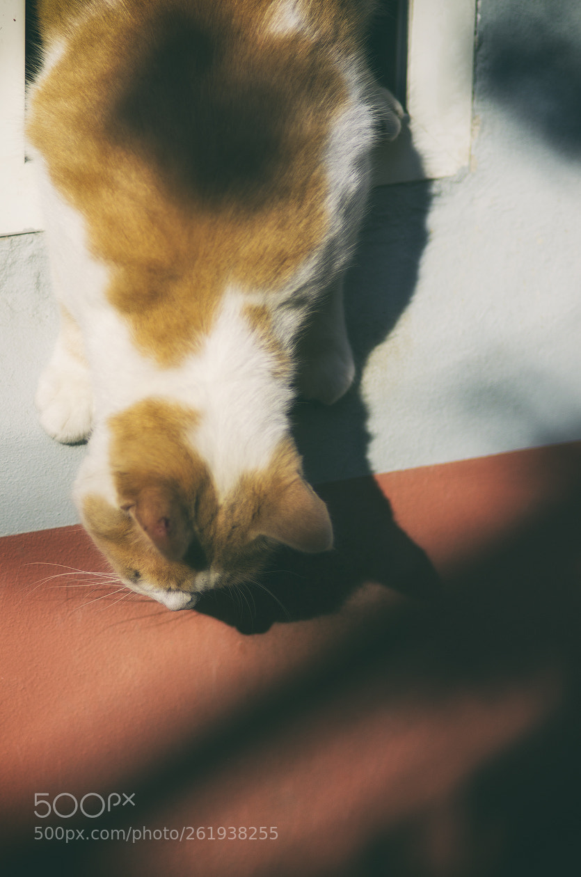 Pentax K-5 sample photo. Before the jump photography
