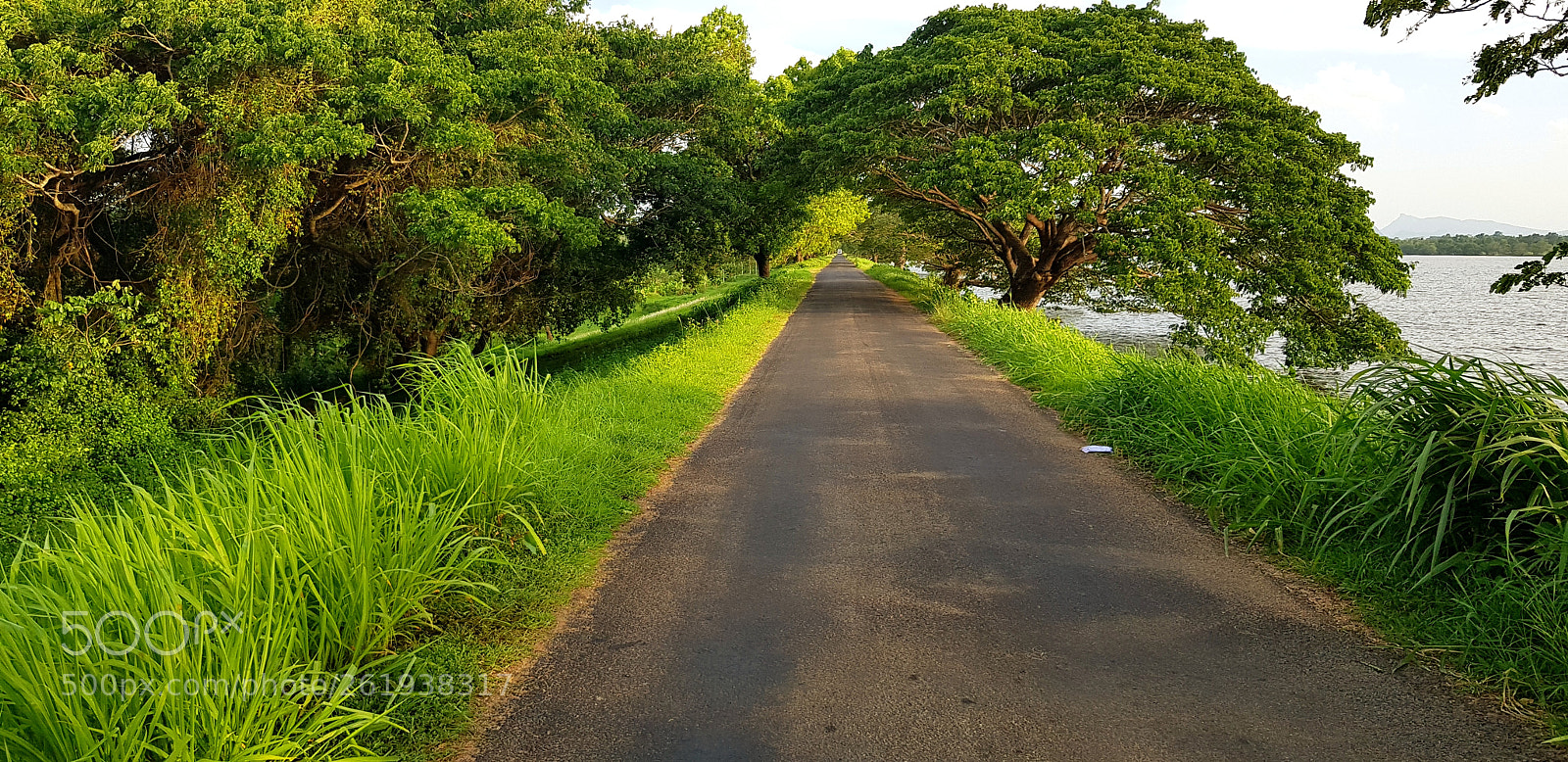 Samsung Galaxy S8+ sample photo. Untitled photography
