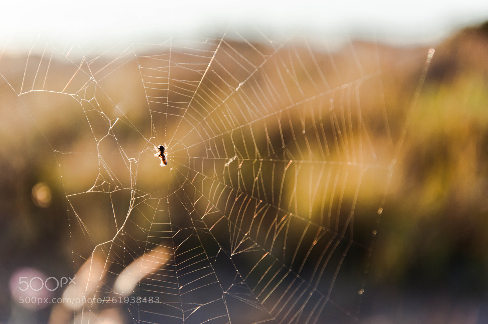 Nikon D3200 sample photo. Nature shapes photography