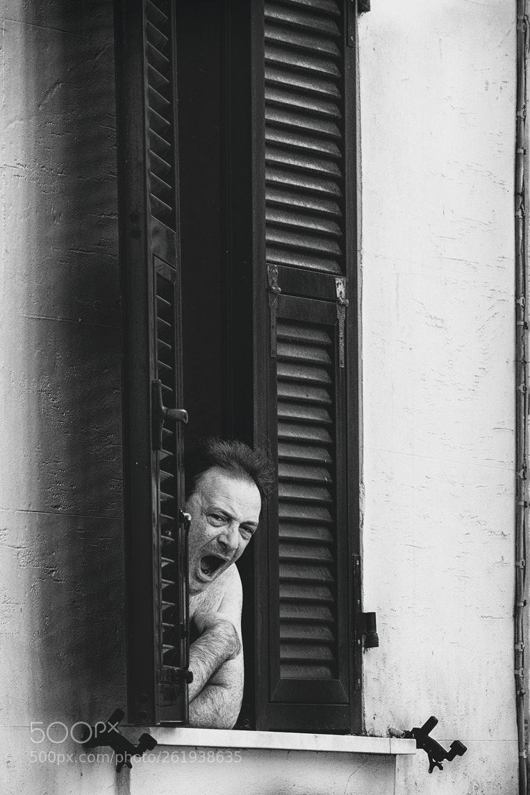 Pentax K-5 sample photo. After the siesta in photography