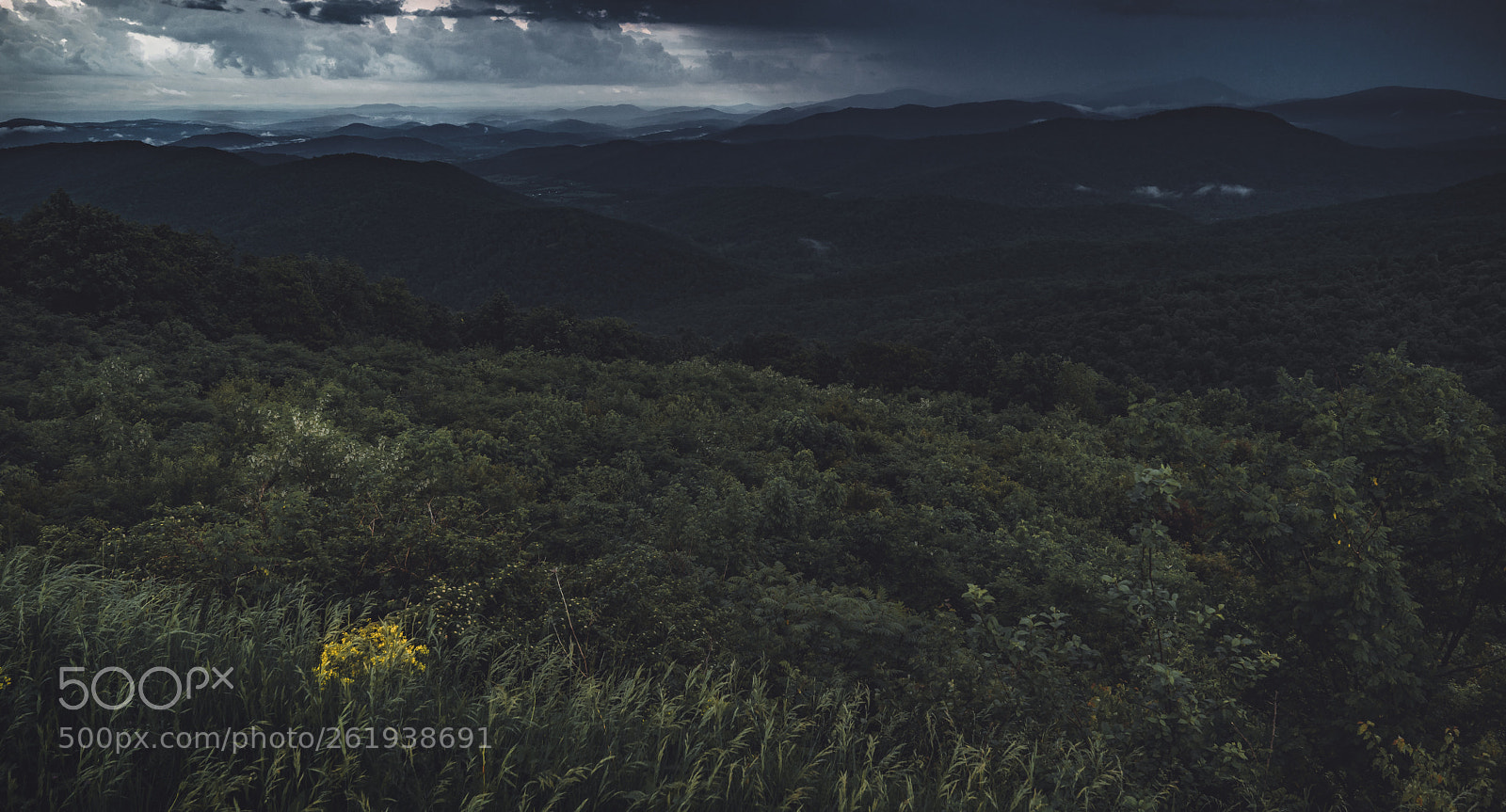 Sony a7R II sample photo. Breath of the shenandoah photography