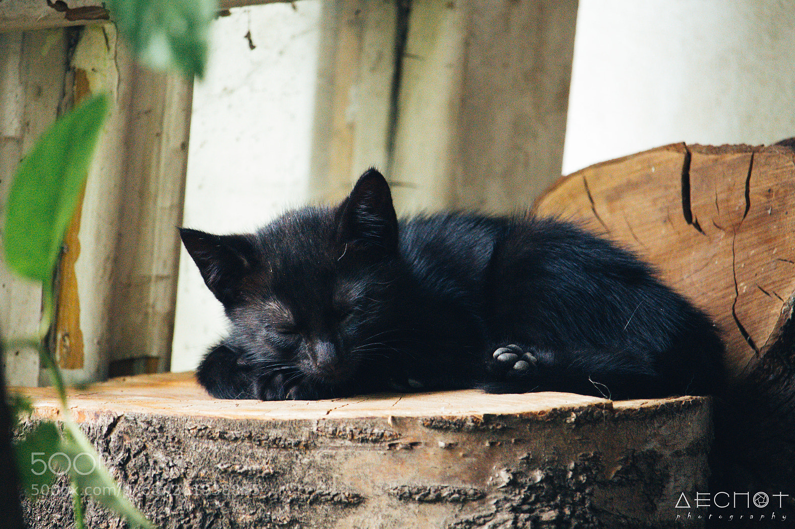 Canon EOS 700D (EOS Rebel T5i / EOS Kiss X7i) sample photo. Oh, it s you photography