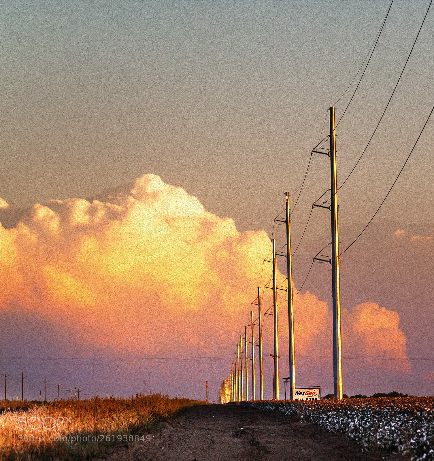 Canon EOS 5D Mark II sample photo. West texas power poles photography