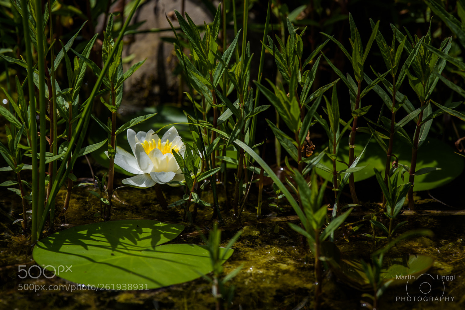 Nikon D750 sample photo. Beautiful place photography
