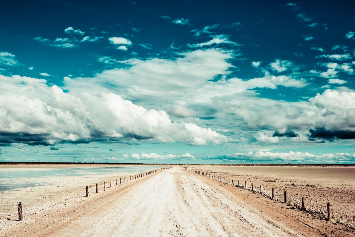 Nikon D810 sample photo. Etosha photography