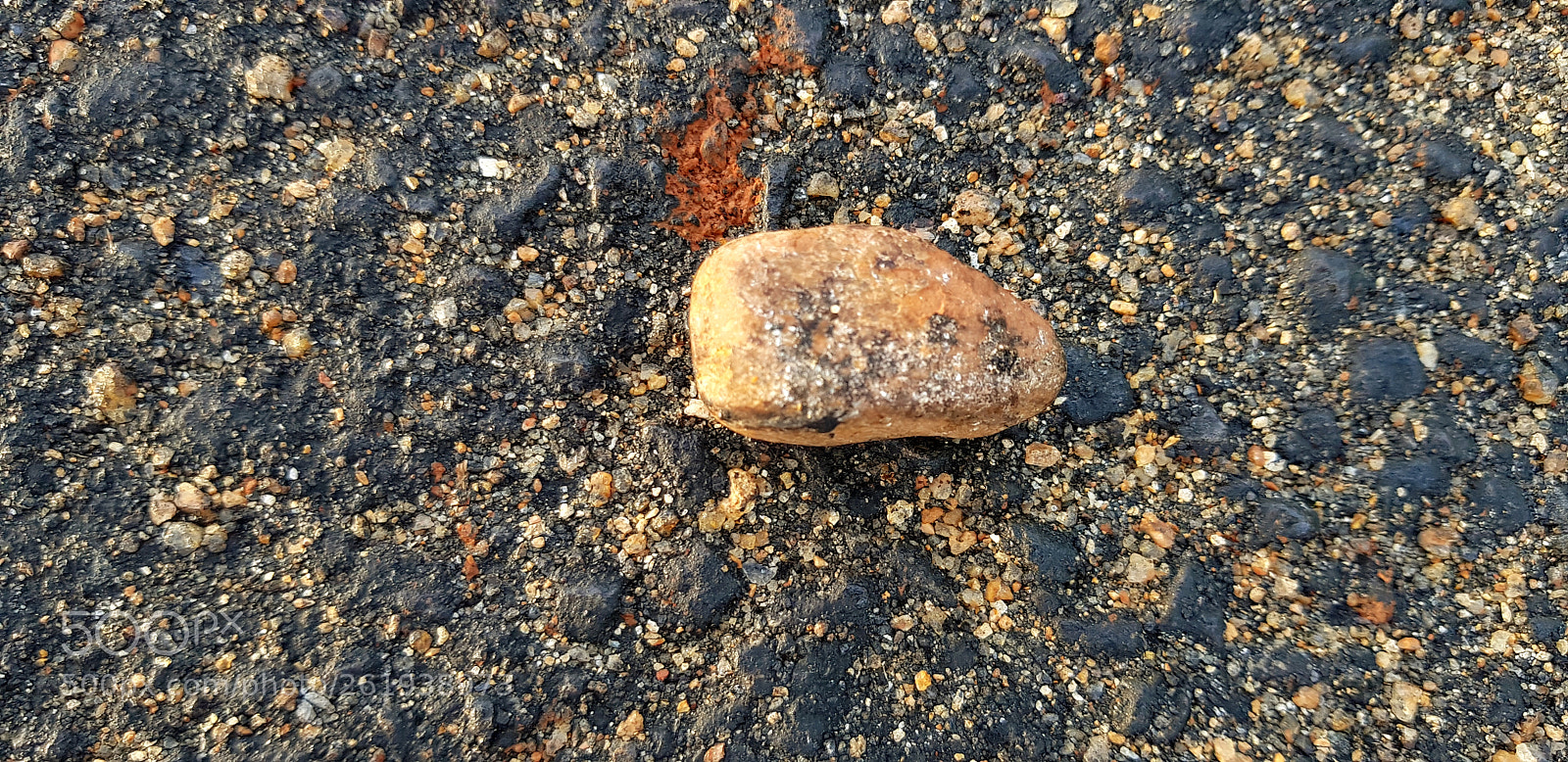 Samsung Galaxy S8+ sample photo. Untitled photography