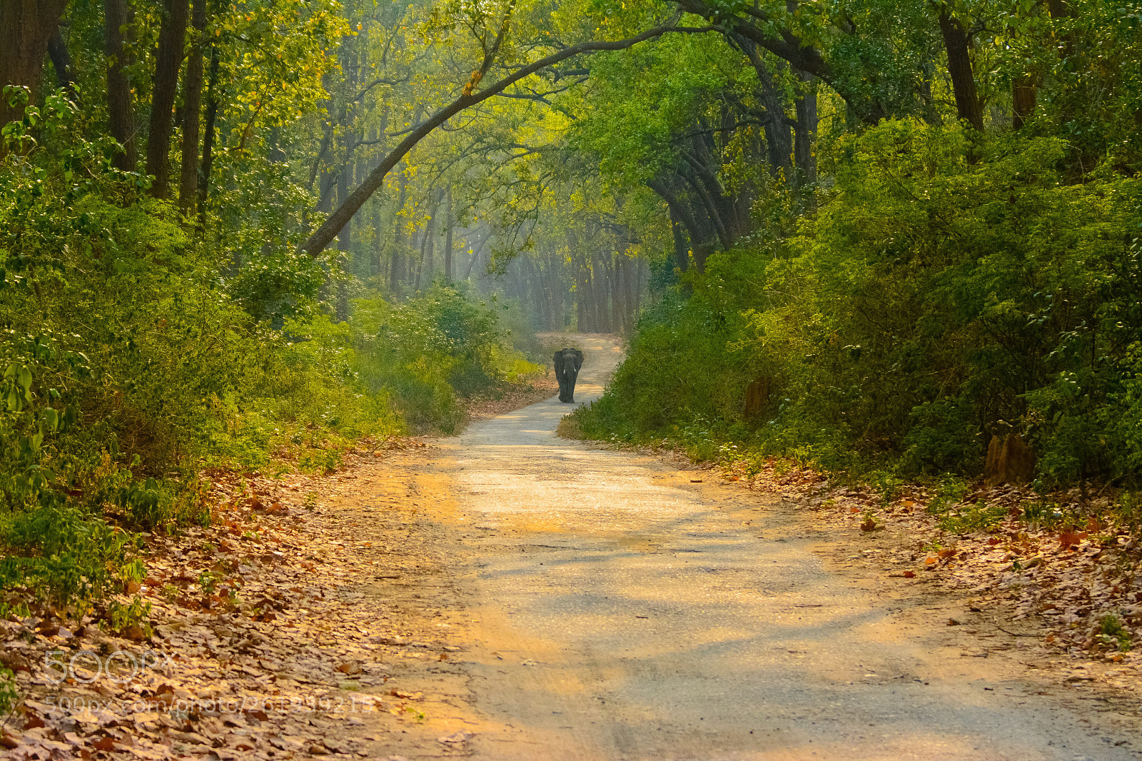 Nikon D7100 sample photo. The landscape of jim photography