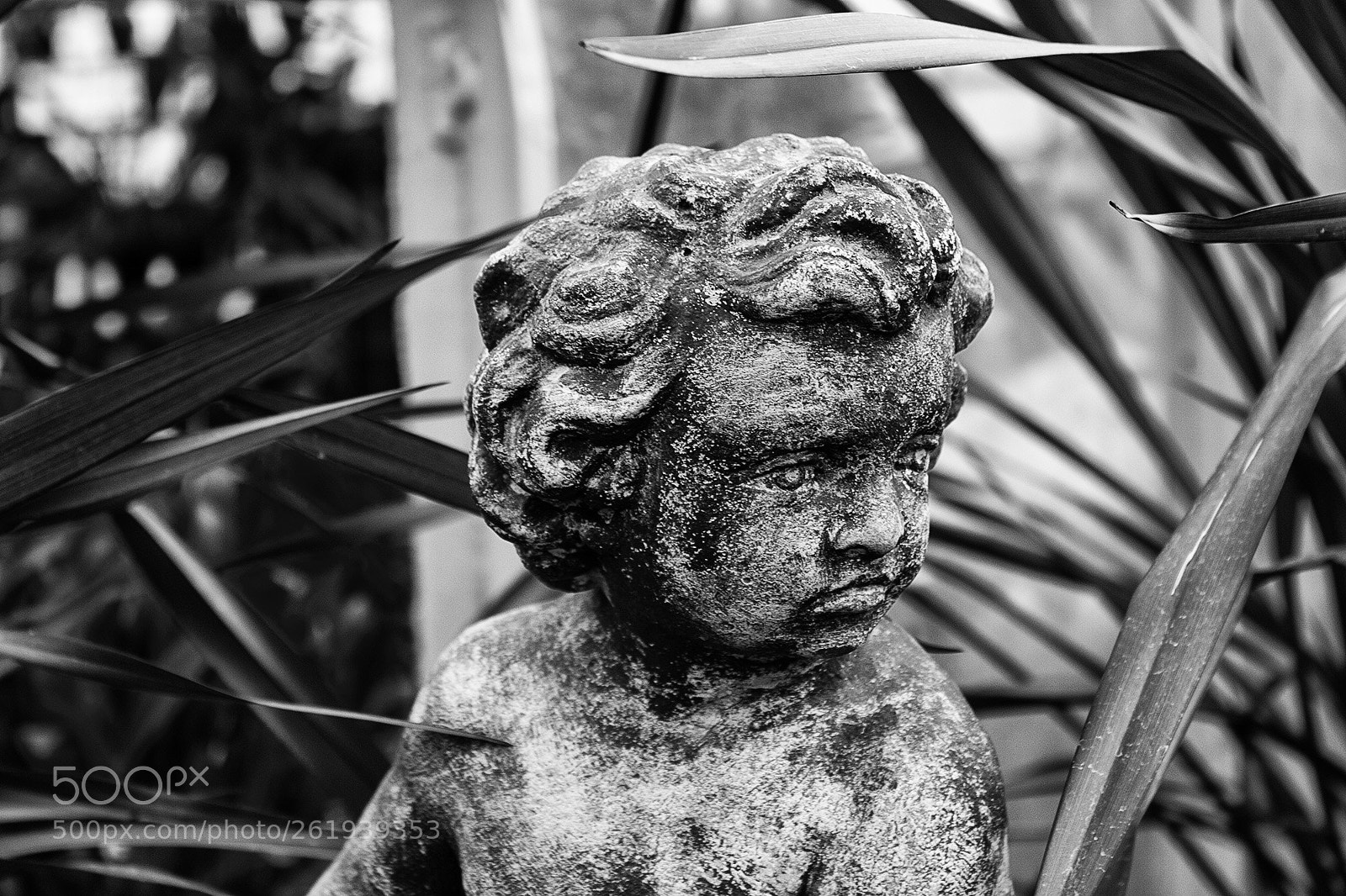 Canon EOS 20D sample photo. Cherub photography