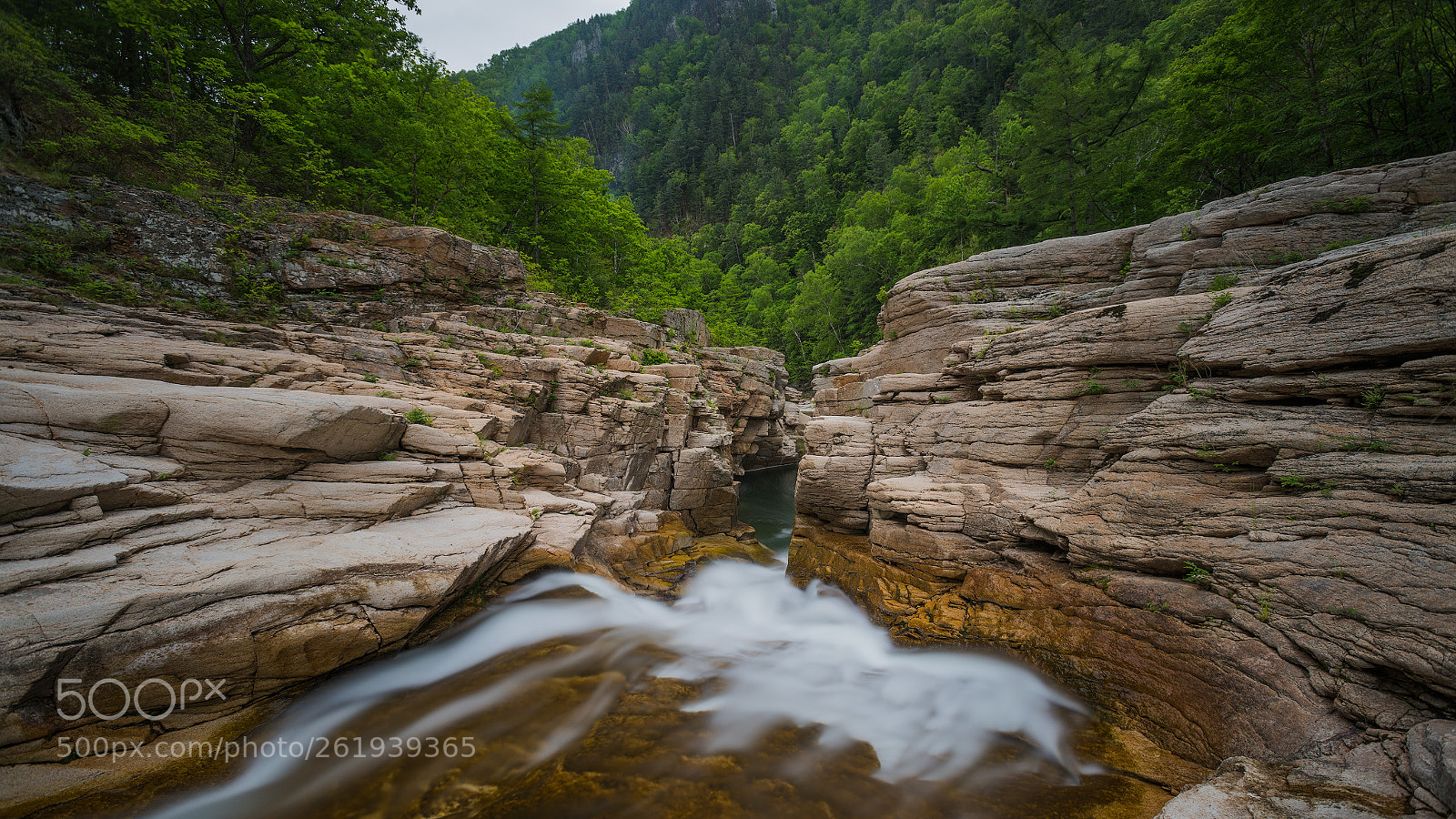Nikon D850 sample photo. Milogradovka river ii photography