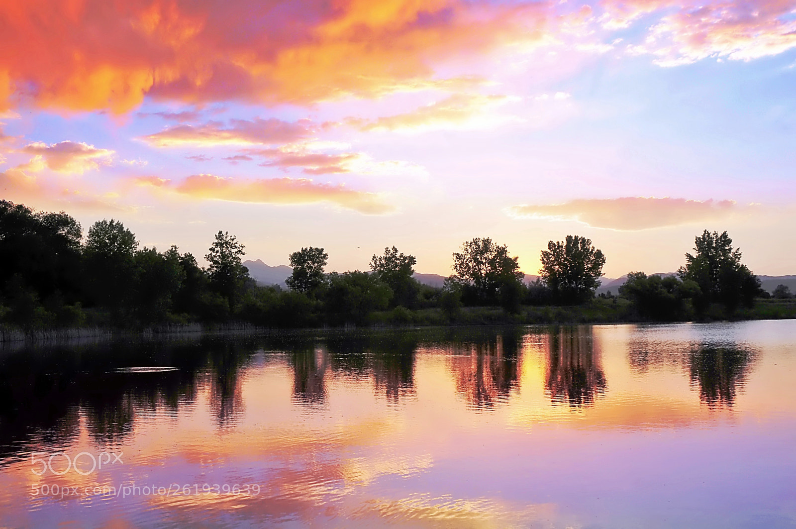 Nikon D300 sample photo. Quiet reflections photography