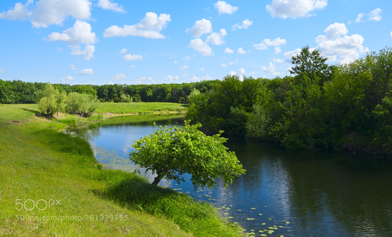 Nikon D5100 sample photo. Summer scene photography