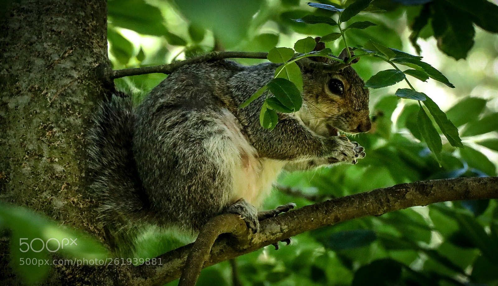 Canon EOS 80D sample photo. Untitled photography