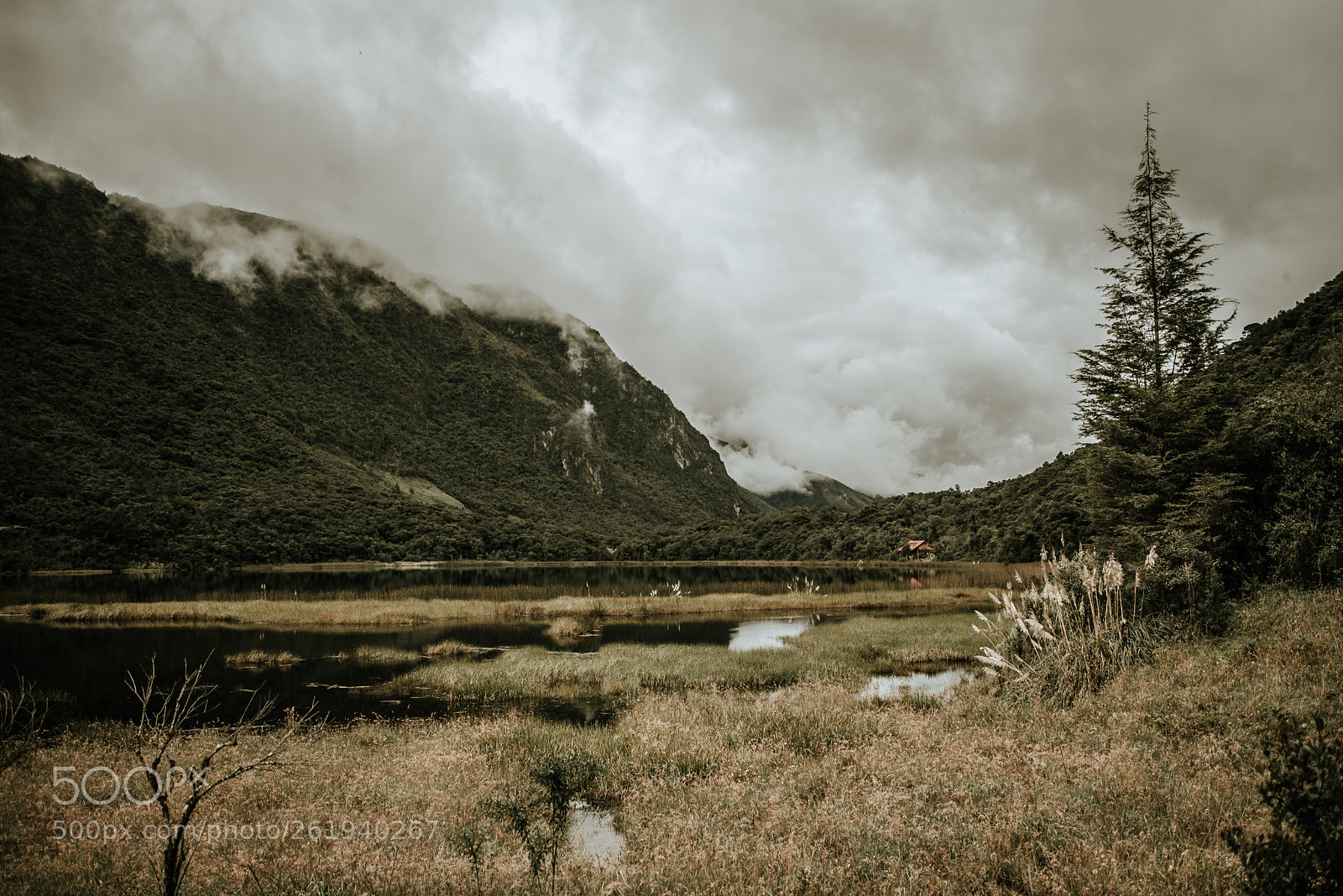 Nikon D750 sample photo. Llaviuco lake photography