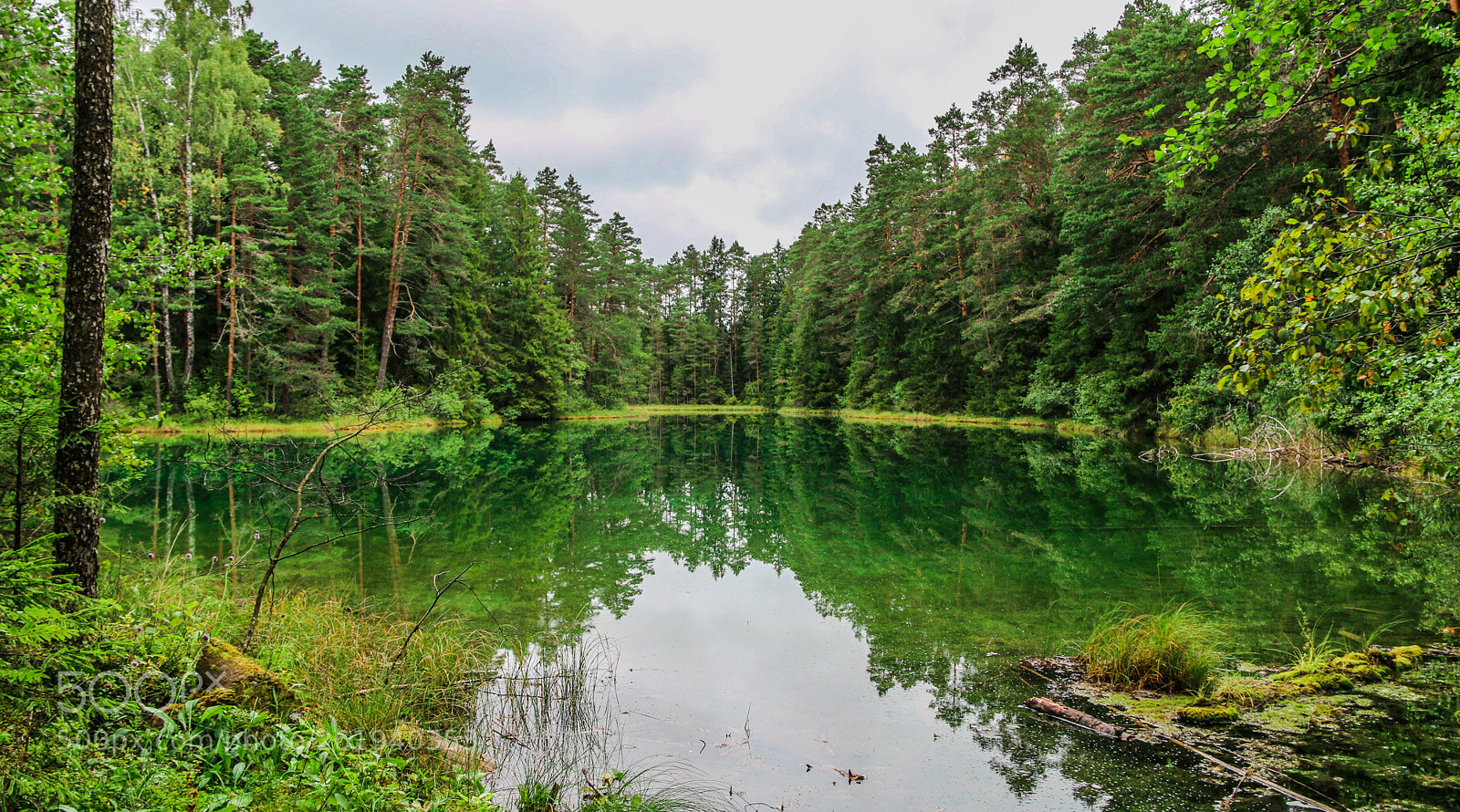 Canon EOS 70D sample photo. Bluelake photography