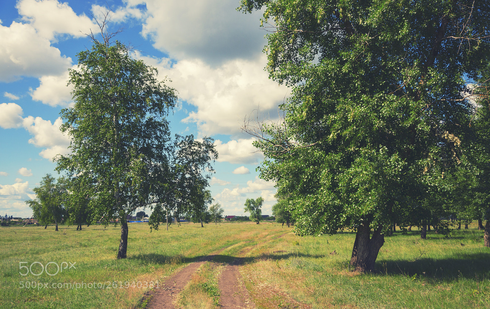 Nikon D5100 sample photo. Walking alone photography