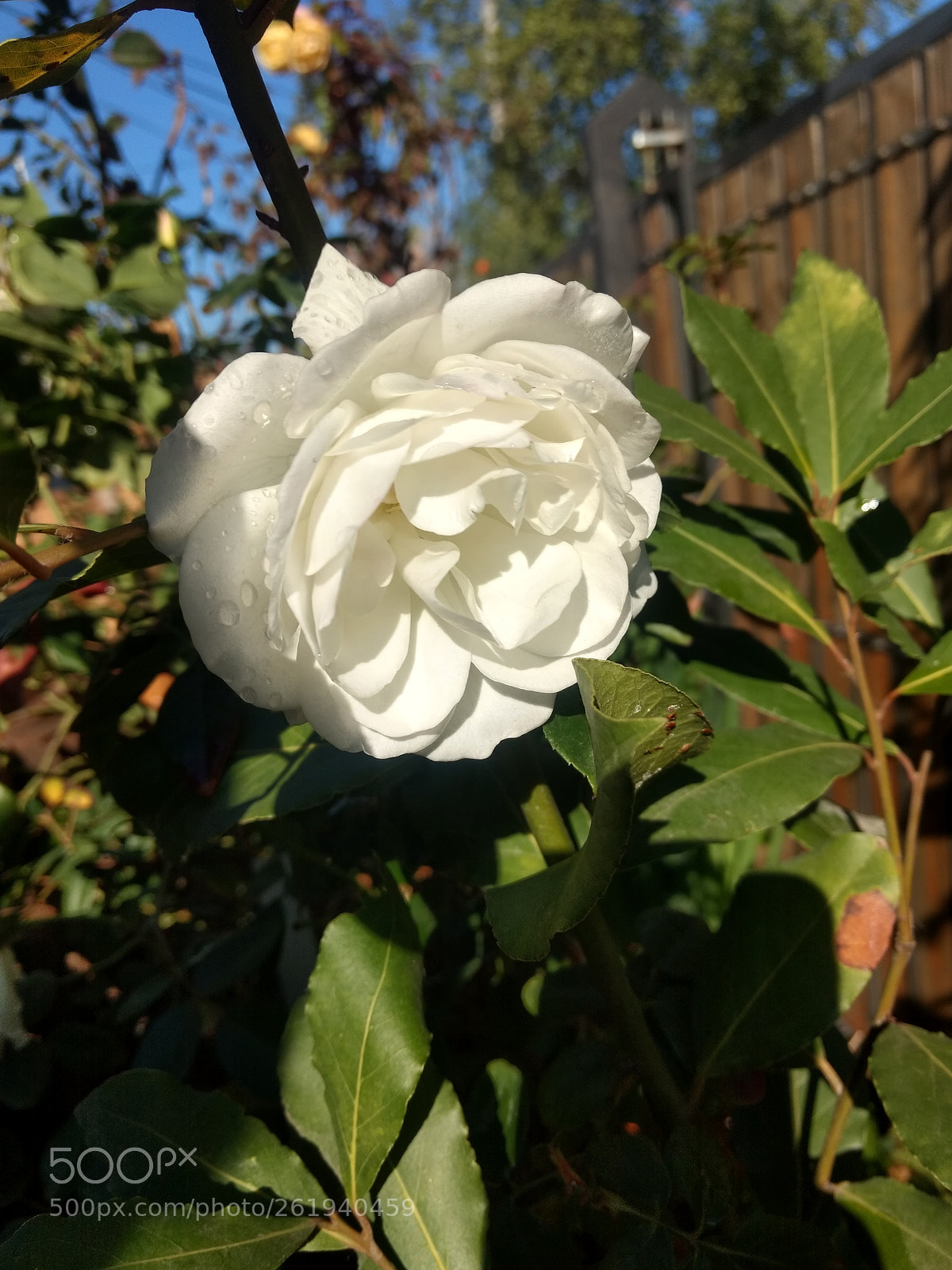 Motorola Moto Z Play sample photo. Untitled photography