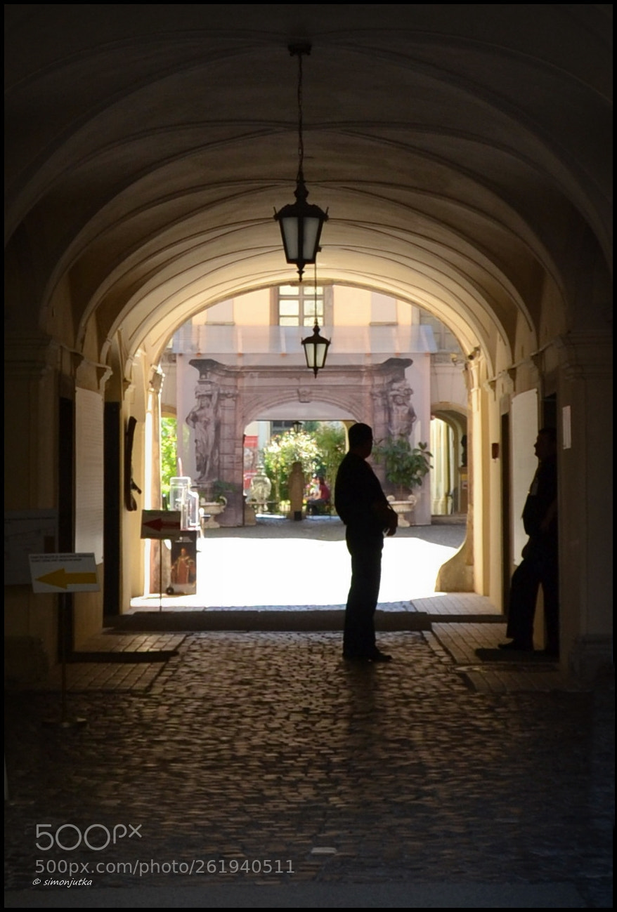 Nikon D3100 sample photo. Light and shadow photography