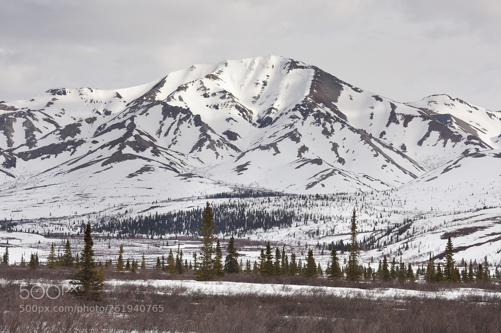 Canon EOS 5D Mark II sample photo. Alaska wilderness - road photography