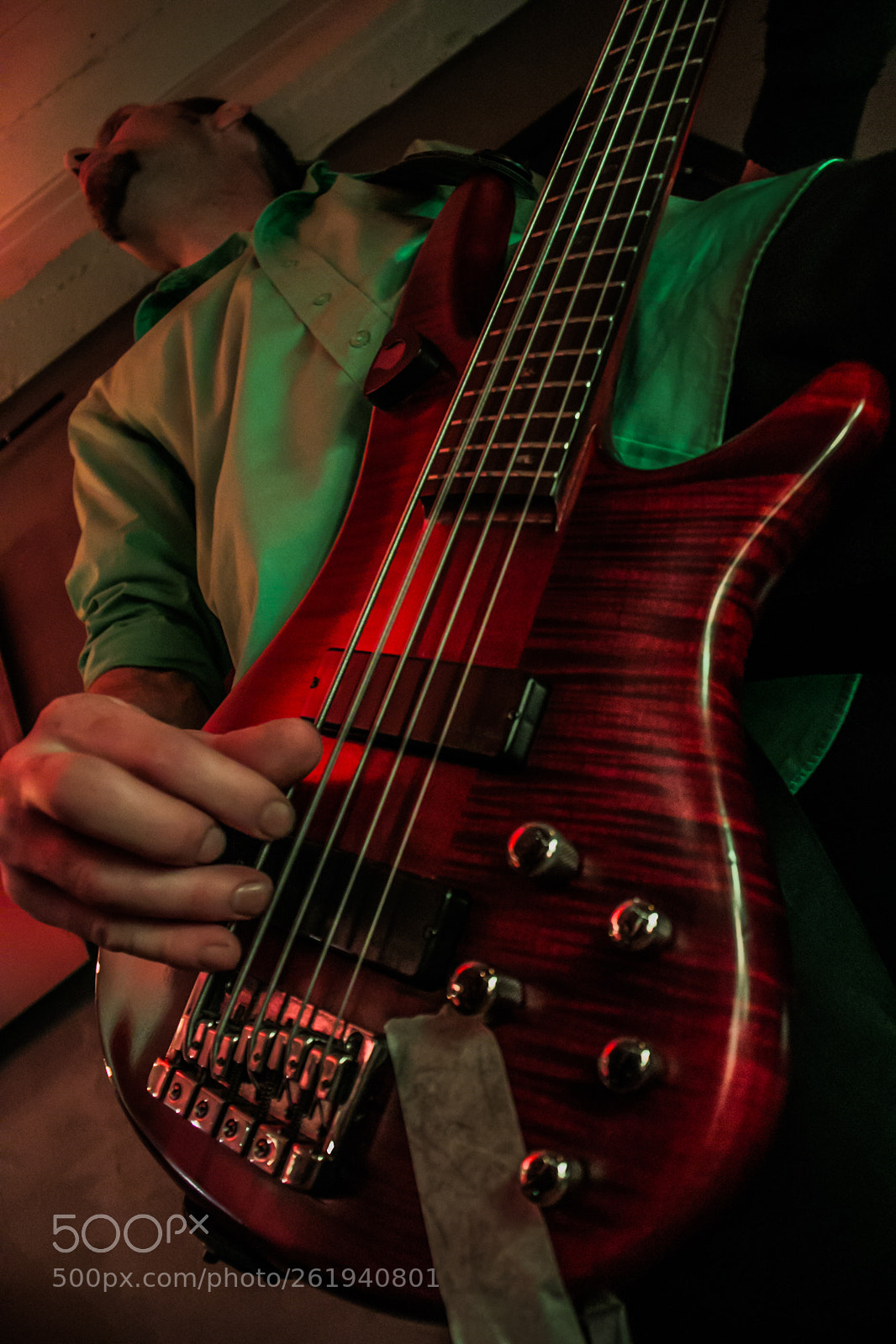 Canon EOS 70D sample photo. Bass photography
