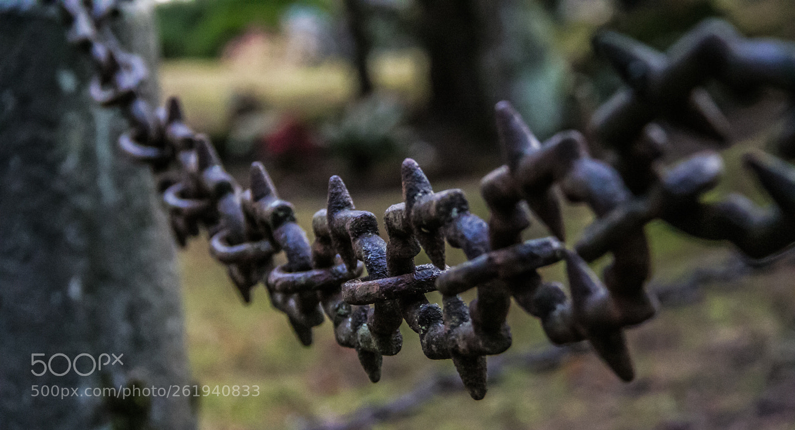 Canon EOS 70D sample photo. Graveyard chain photography