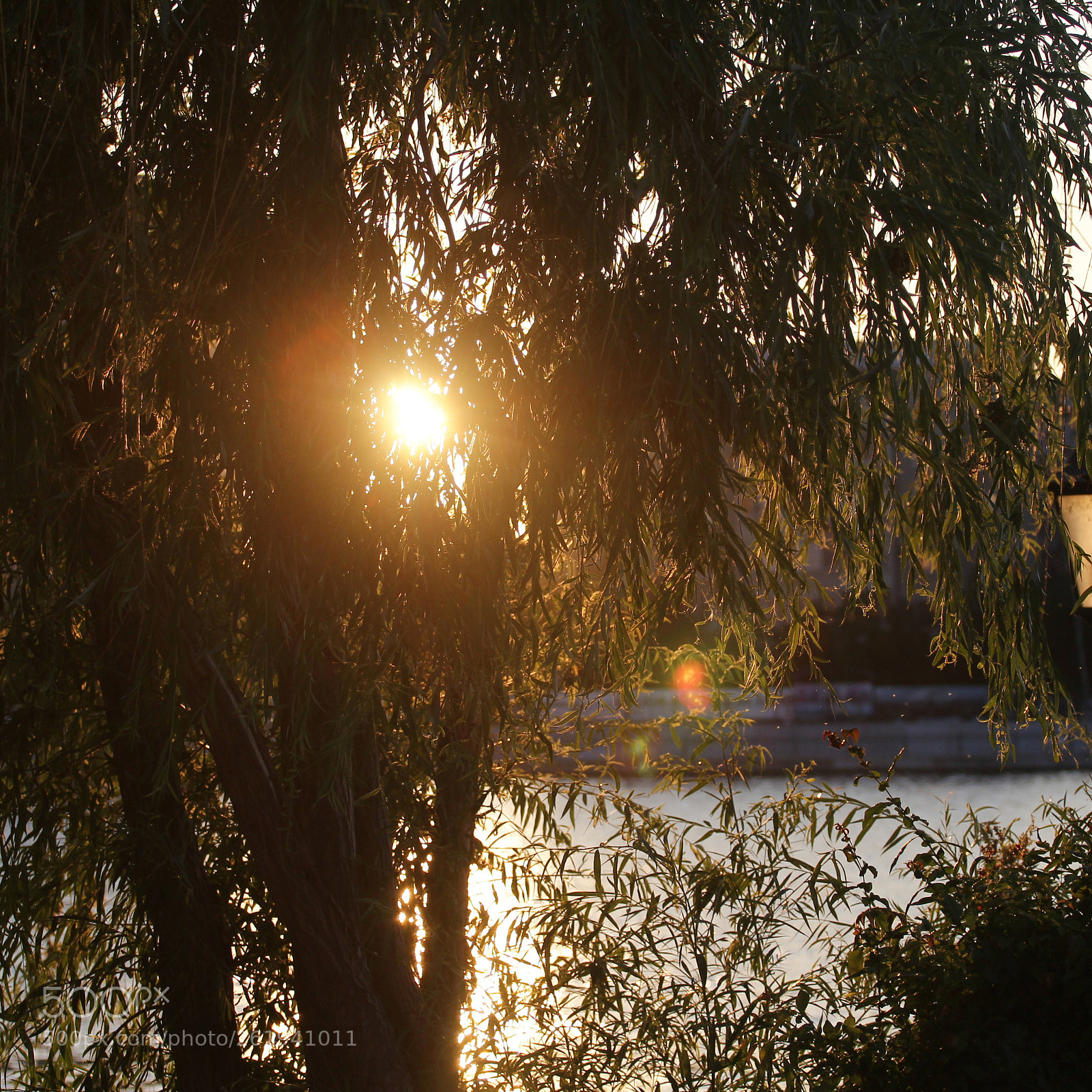 Canon EOS 60D + Canon EF 70-200mm F4L USM sample photo. [] photography