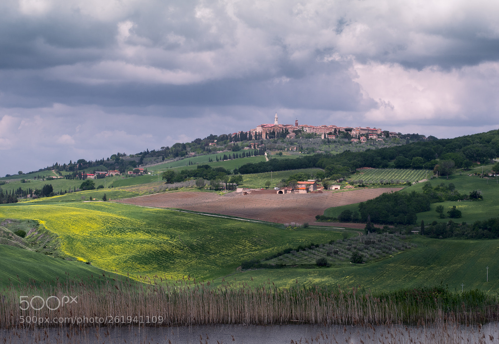 Pentax K-3 II sample photo. A view of the photography