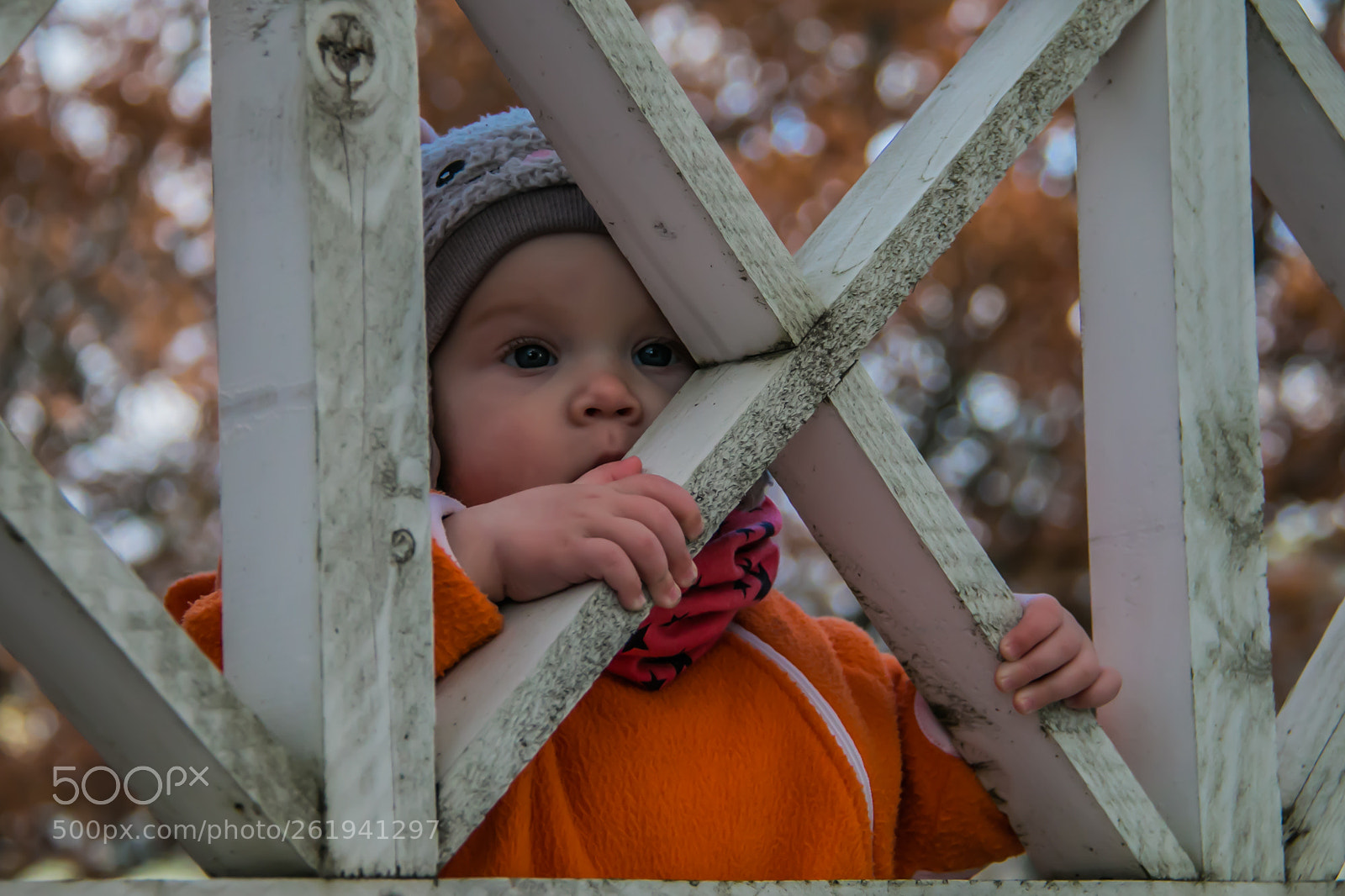 Canon EOS 70D sample photo. Alissa photography
