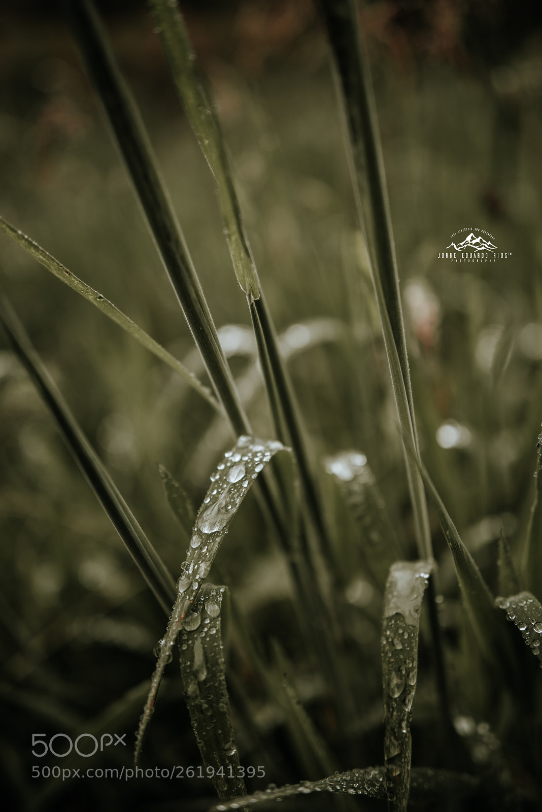 Nikon D750 sample photo. Llaviuco lake photography