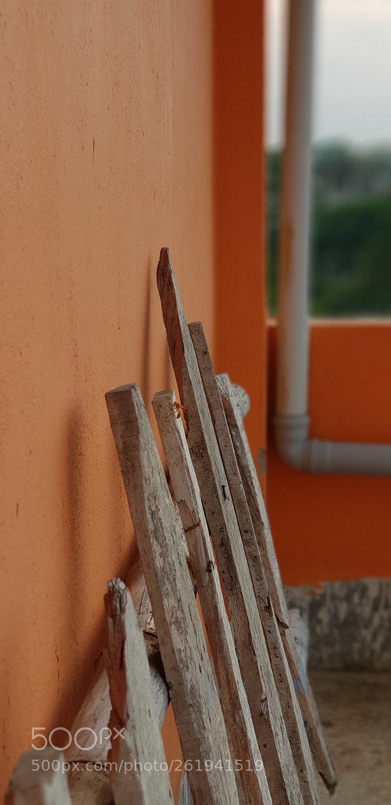 Samsung Galaxy S9+ sample photo. Untitled photography