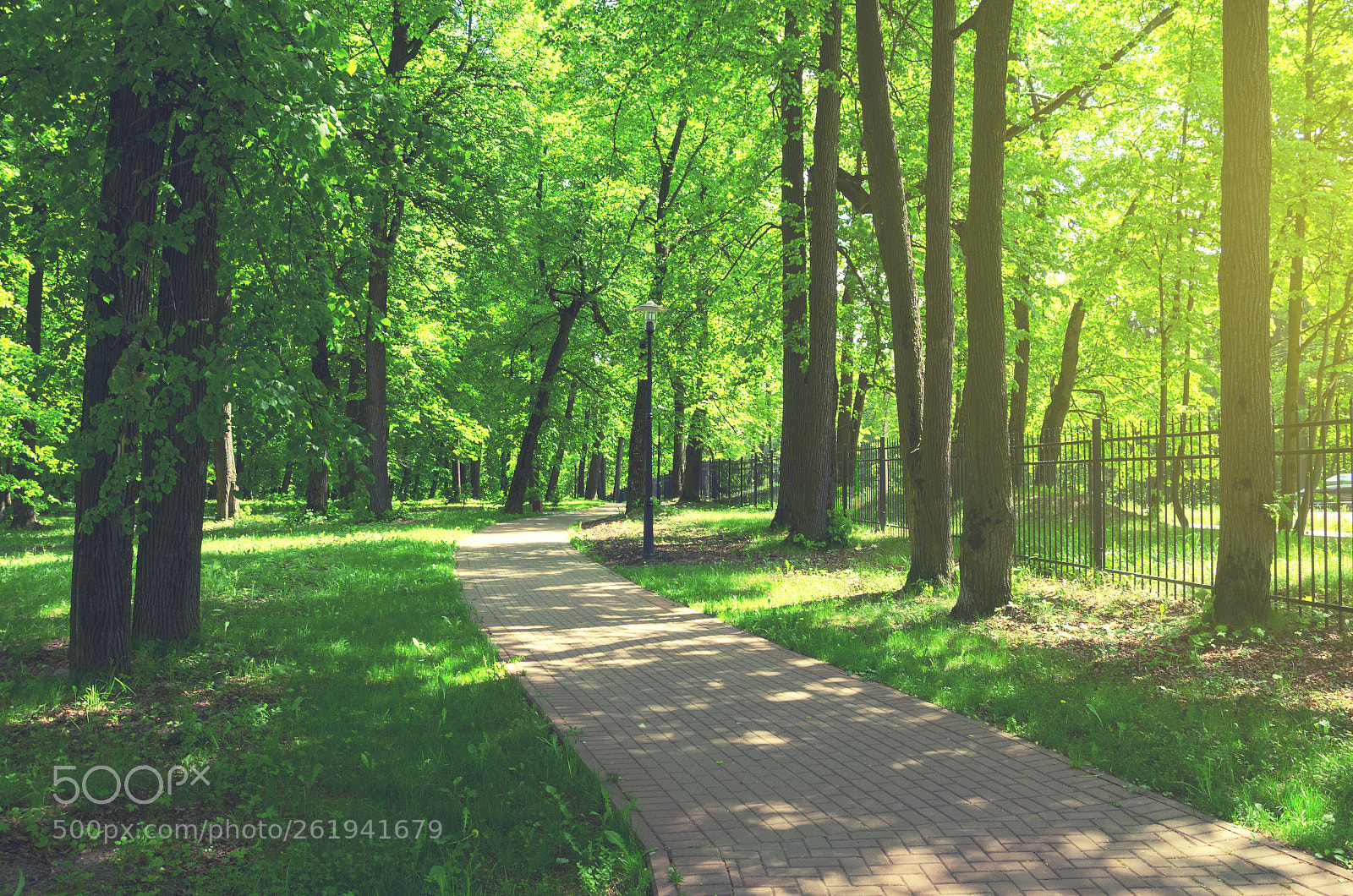 Nikon D5100 sample photo. Roads in shady park photography