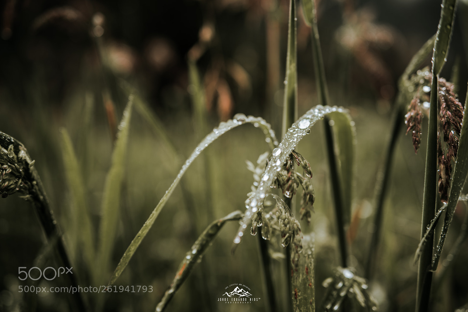 Nikon D750 sample photo. Llaviuco lake photography