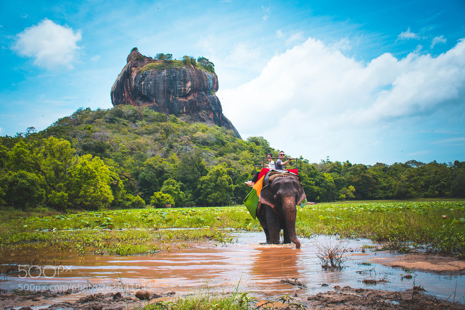 Nikon D7500 sample photo. Elephant ture sigiriya photography
