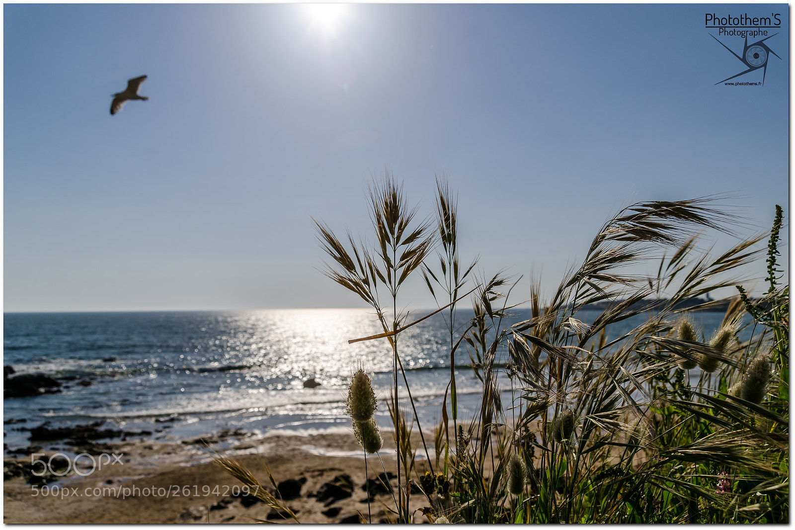 Nikon D7000 sample photo. Sunset at the beach photography