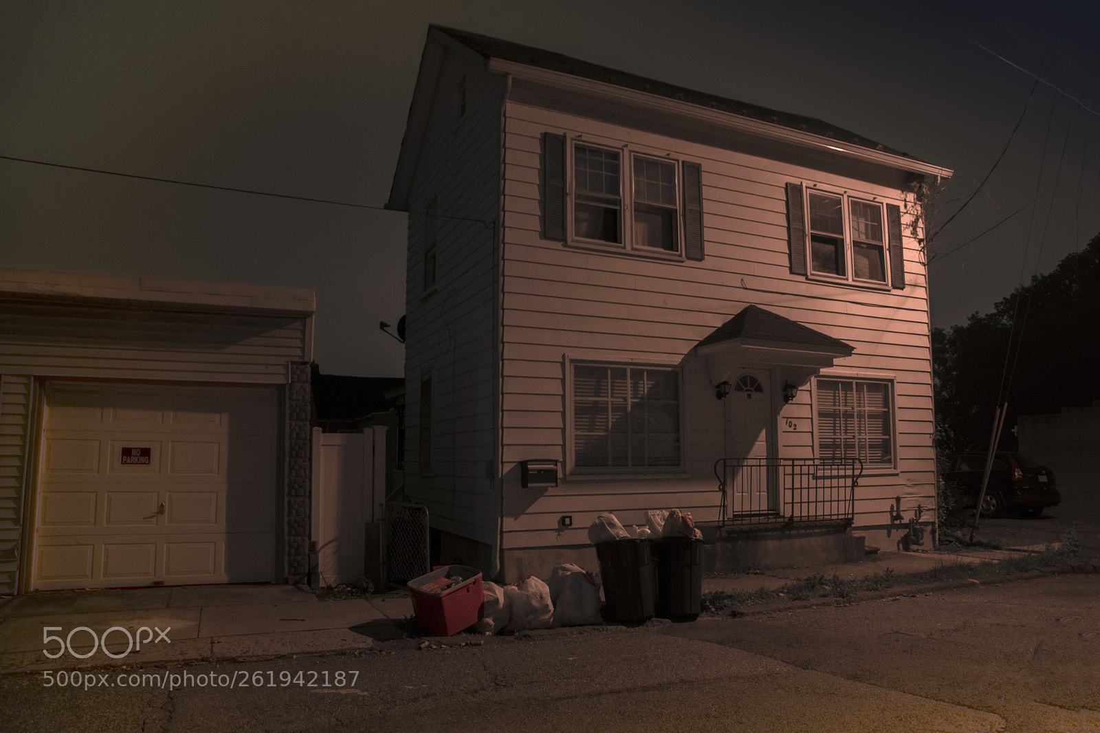 Nikon D7100 sample photo. A proud house photography