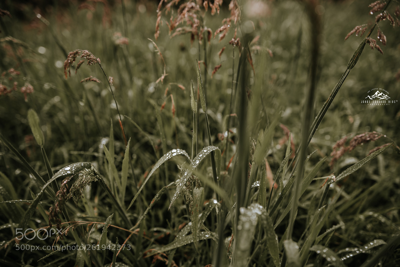 Nikon D750 sample photo. Llaviuco lake photography