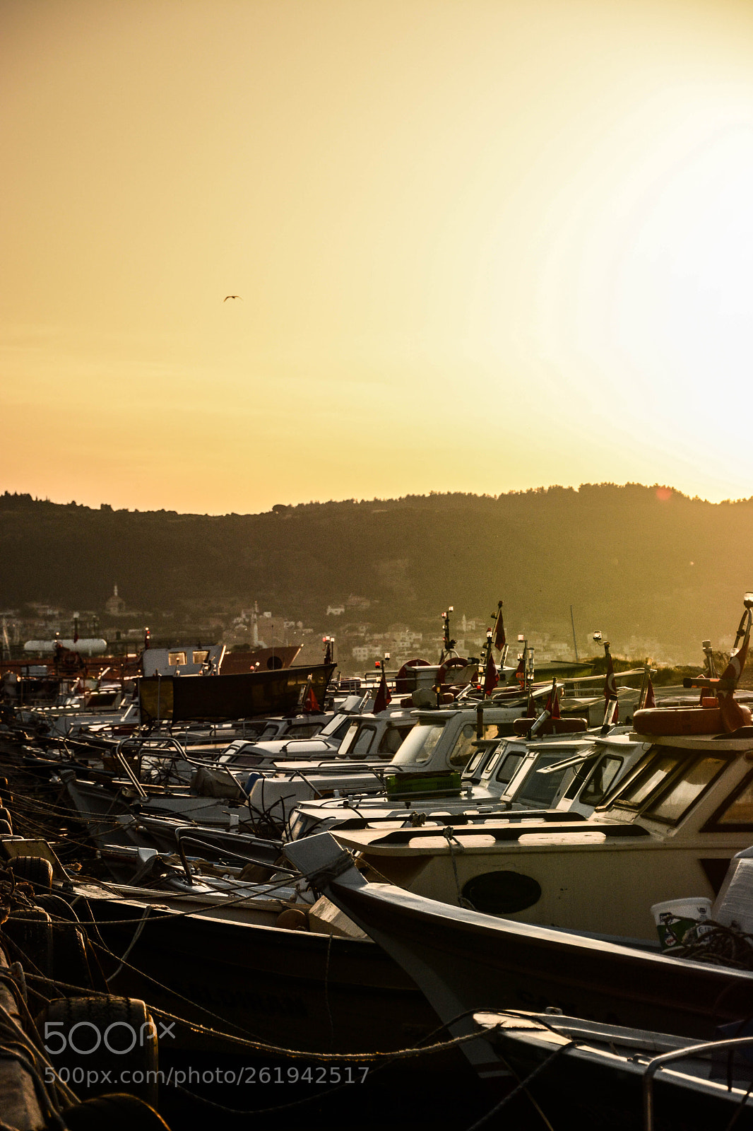 Nikon D7100 sample photo. Suns photography
